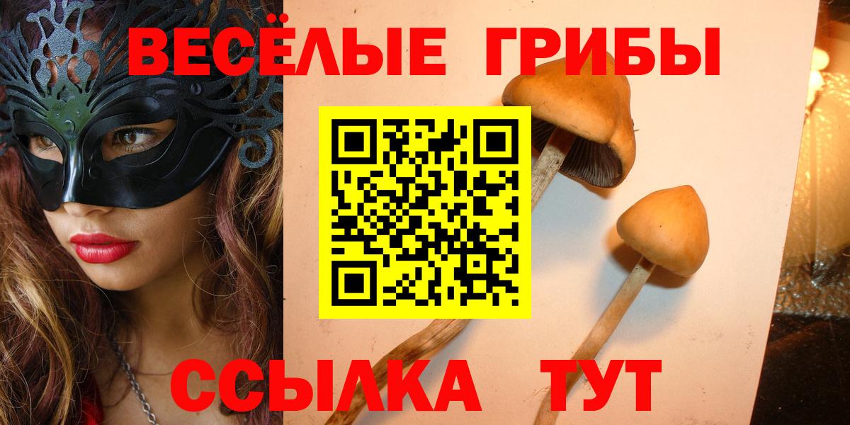 Псилоцибиновые грибы Cubensis Куйбышев
